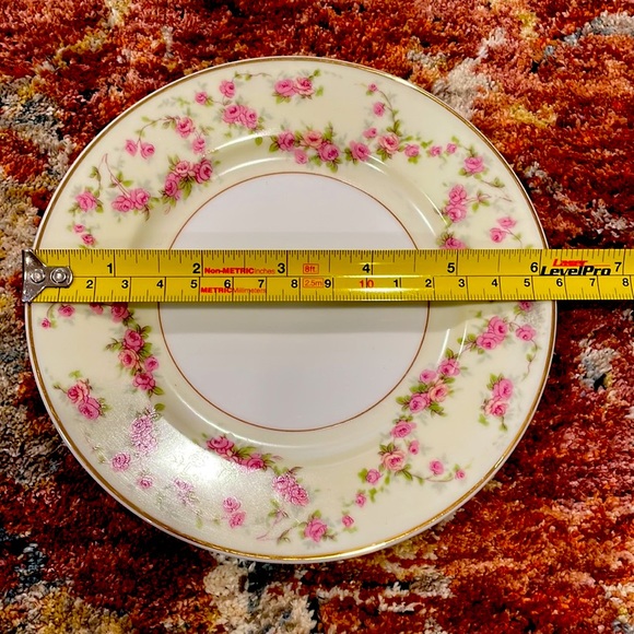 Vintage TK Thun Bohemia
Czechoslovakia Rosemary Bread/
Butter Plate - Picture 4 of 7